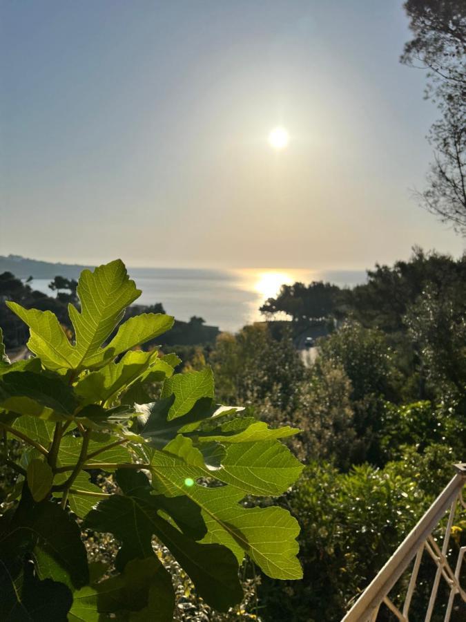 Limonaia In Salento Villa Marittima Exterior photo