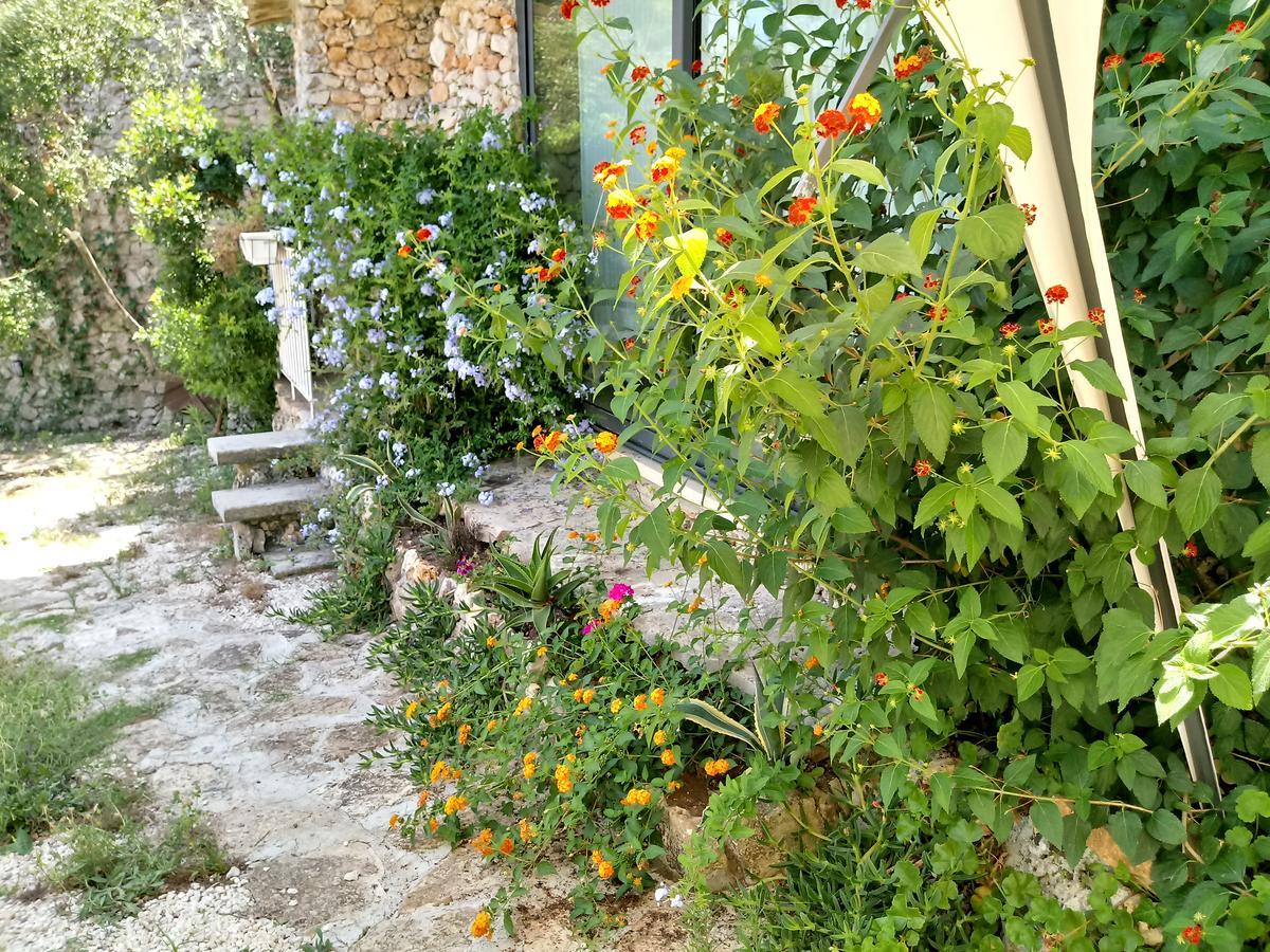 Limonaia In Salento Villa Marittima Exterior photo